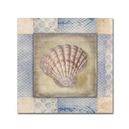 LightBoxJournal 'White Sea Shell' Canvas Art,18x18